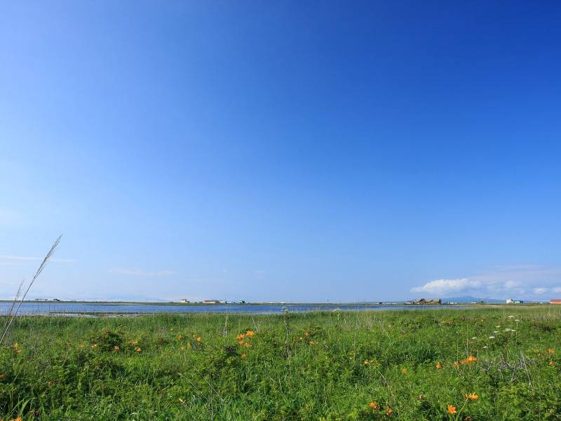 汹涌澎湃的瀑布风景高清壁纸