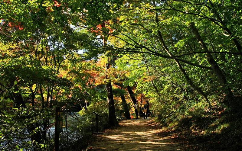 日本神户六甲山初秋迷人自然风景