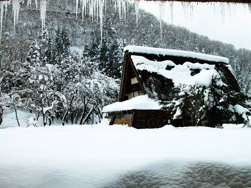 屹立在白雪海洋中的山间小屋