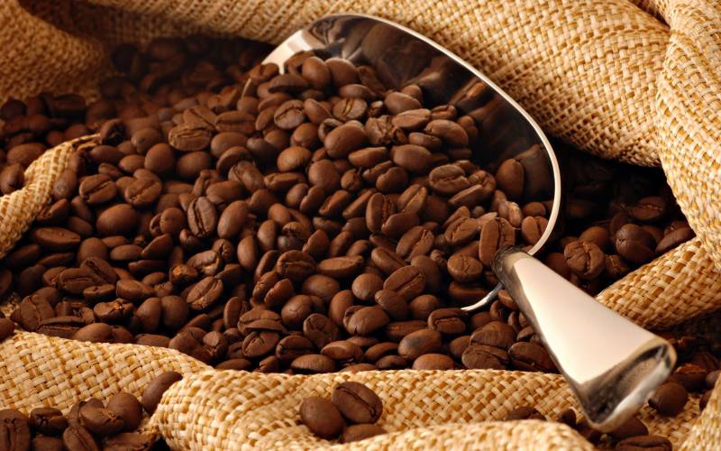 精致咖啡豆高清美食图片