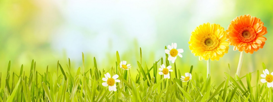 大自然春季主题高清风景图片