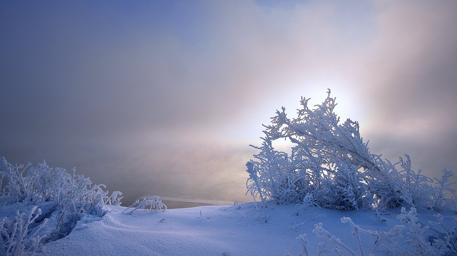 冬天森林白色雪景图片唯美洁净