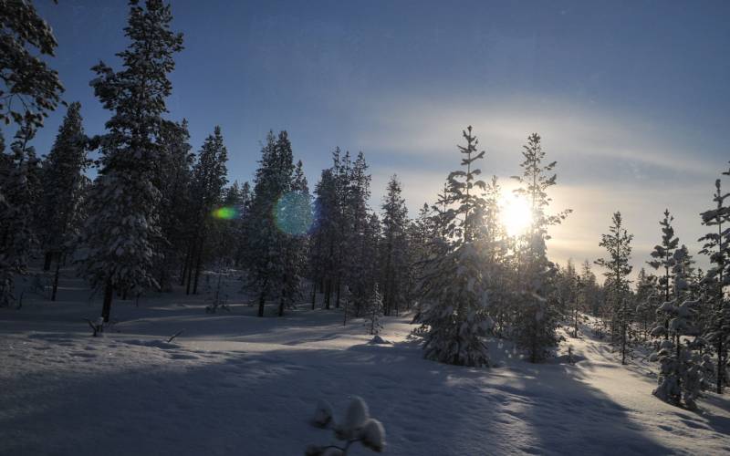 芬兰雪乡图片风景图片壁纸