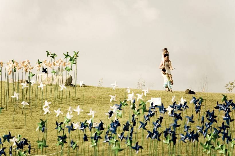 高清纸风车丛嬉戏图片