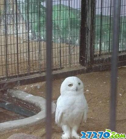 各种恶搞雷人的囧图