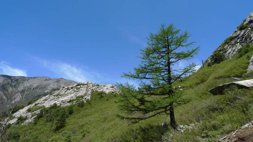 秦岭唯美高清风景图片