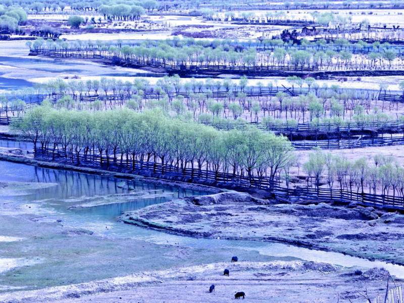 西藏尼洋河精美自然风景高清大图