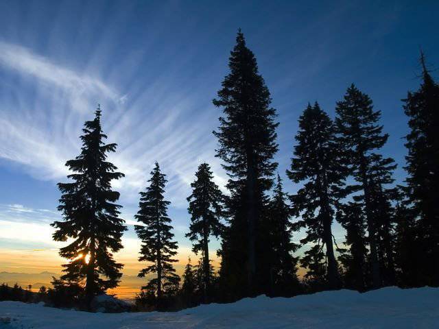 雪景风光