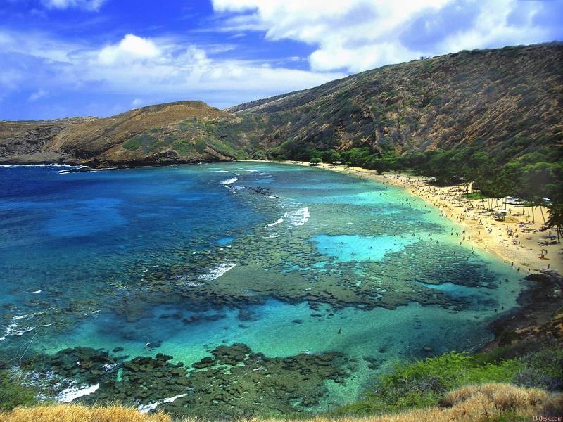 美仑美奂的夏威夷海滩图片