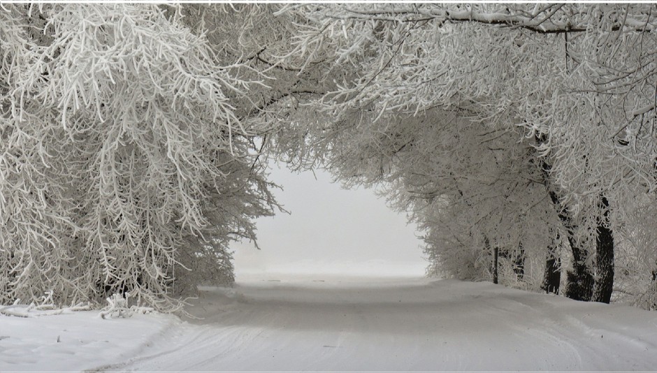 乡村林间冰雪覆盖的道路唯美图片