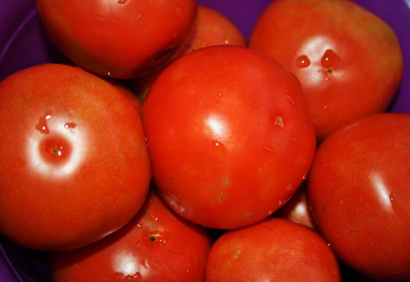 新鲜蔬果番茄图片