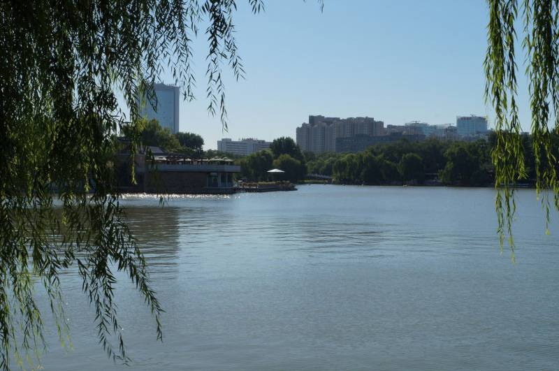 北京紫竹院公园绿色风景图片