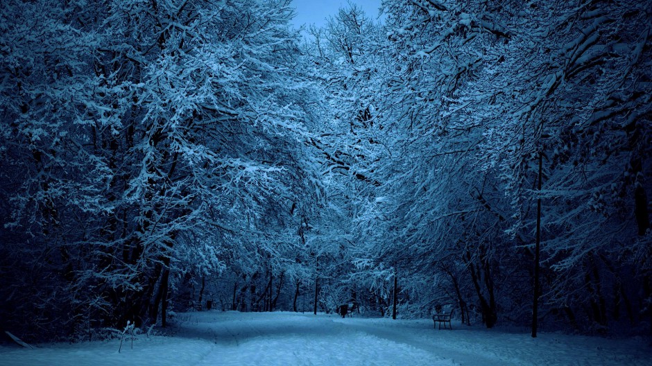 乡村林间冰雪覆盖的道路唯美图片