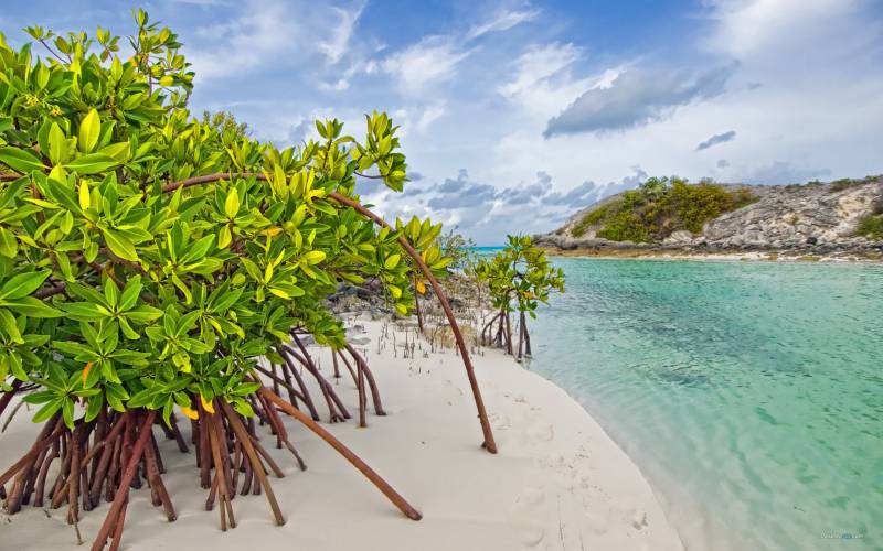 巴哈马群岛美丽风景图片欣赏