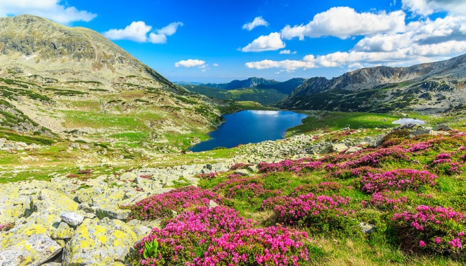 欧洲小镇夏天乡村美景图片秀丽旖旎