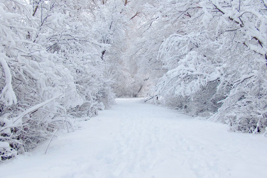 乡村林间冰雪覆盖的道路唯美图片