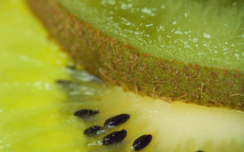 新鲜水果大全唯美高清图片欣赏