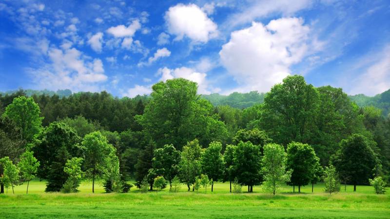 唯美的春夏秋冬风景图片大全