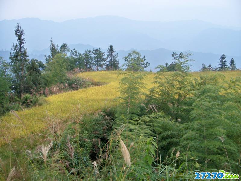 网友提供广西桂林风景图片