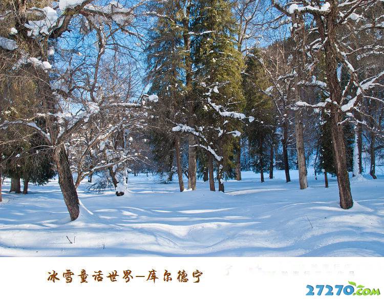 冰雪童话世界