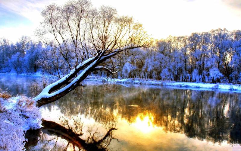 唯美冬天迷人雪景精美电脑壁纸