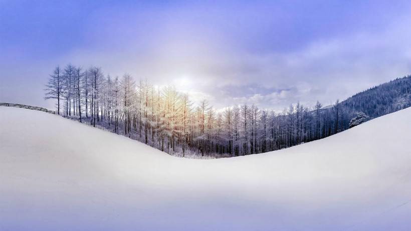 唯美清新素雅雪景风景图片壁纸