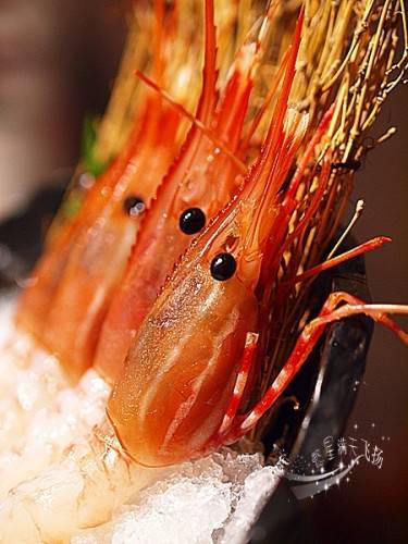 日本海鲜料理新鲜美味惹人垂涎