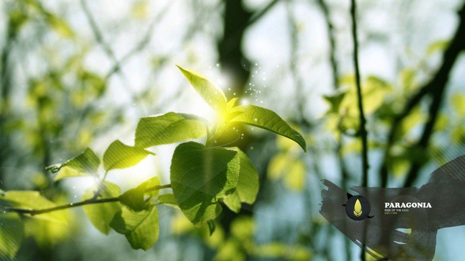 绿色植物风景图片清新迷人