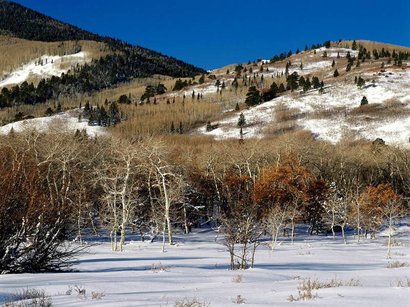 冬季郊区山雪美景图片