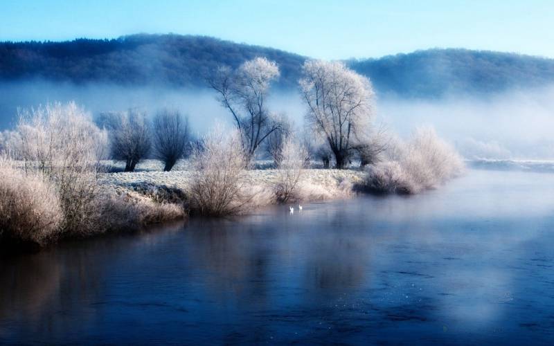 冬天树林雪景精美桌面壁纸