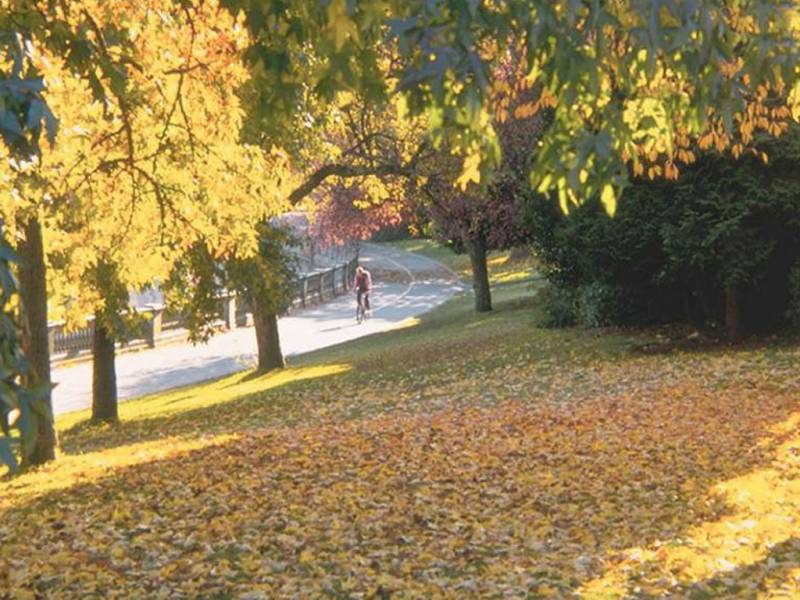 宁静的道路美景图片