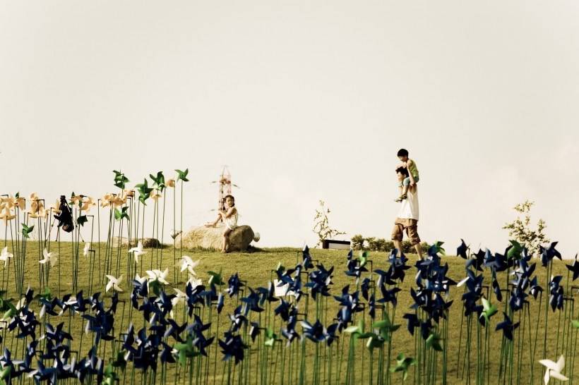 高清纸风车丛嬉戏图片