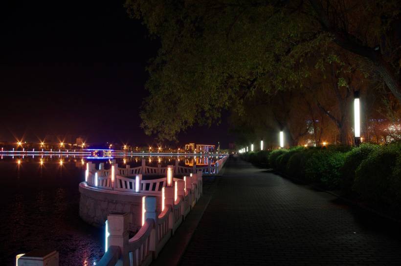 黑龙江齐齐哈尔大学夜景唯美图片