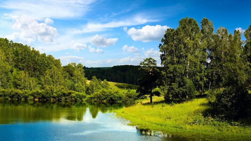 最美绿色草原风景图片壁纸