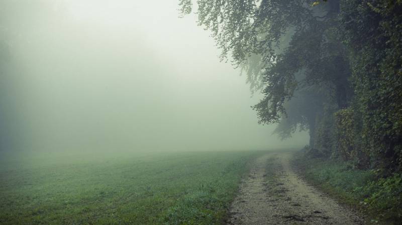 朦胧云雾中的树林高清风景图片