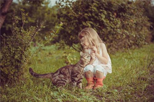 浪漫意境唯美猫咪与宝宝可爱图集
