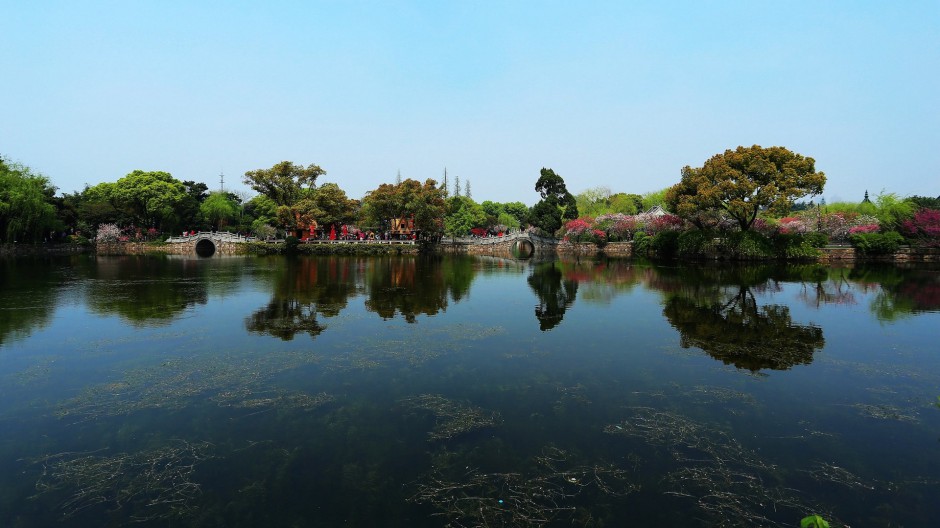 江苏无锡蠡园的春天风景图片