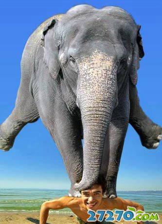 每日爆笑 强劲的搞笑