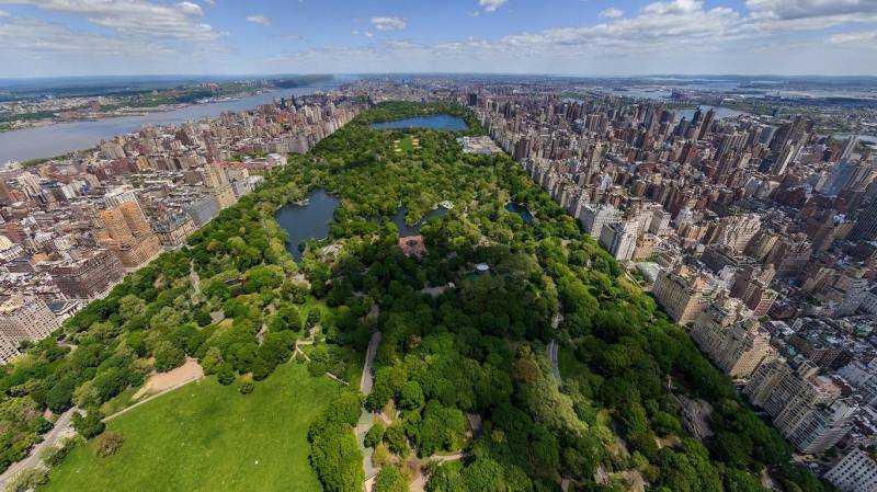 纽约公园风景图片高清壁纸