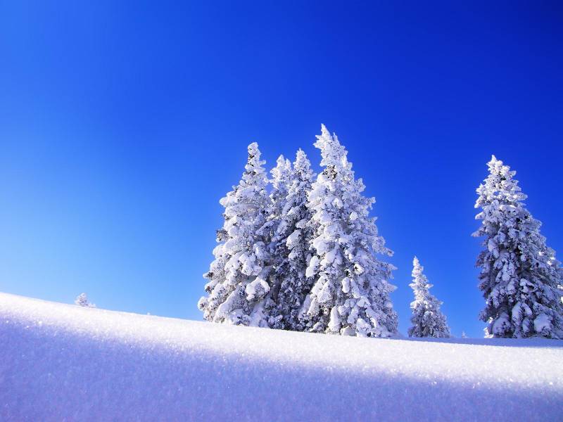美丽的雪山雪景宽屏风景壁纸赏析