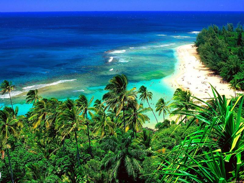 美仑美奂的夏威夷海滩图片