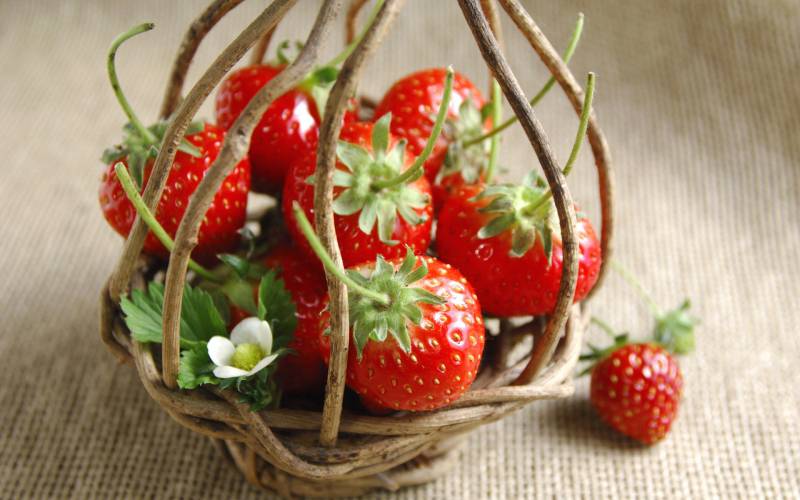 新鲜草莓唯美水果特写图片