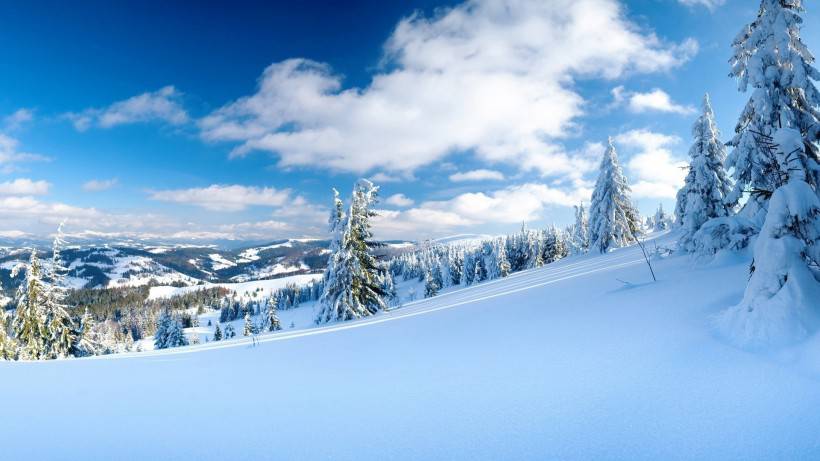 美丽的冬天雪山树林风景图片