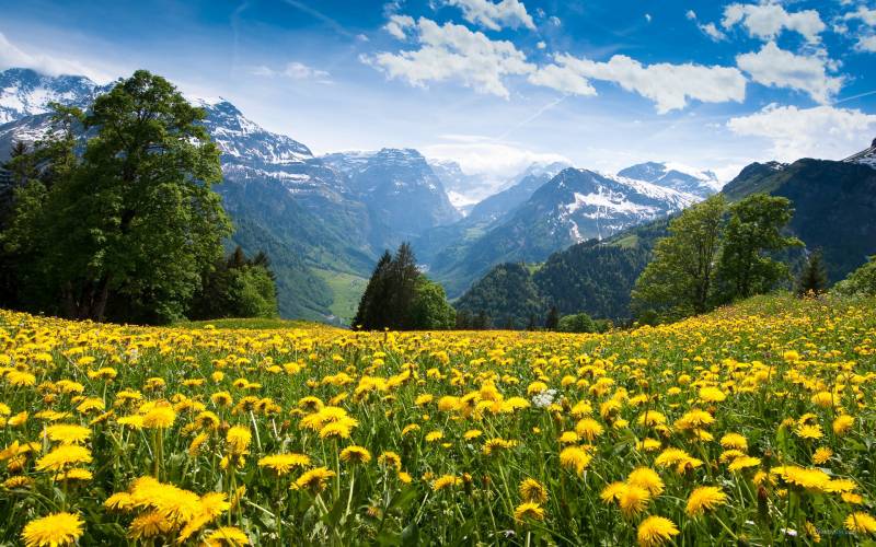 阿尔卑斯山四季美丽风光高清组图