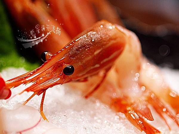 日本海鲜料理新鲜美味惹人垂涎