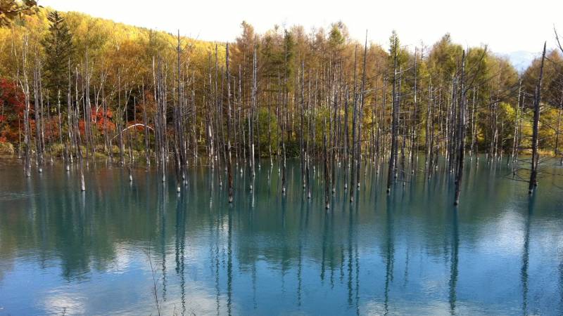 日本札幌唯美风景壁纸