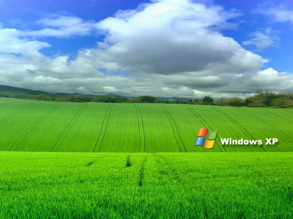 绿色草原风景winXP桌面壁纸分享