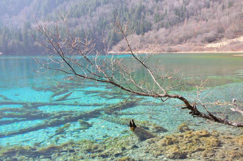 四川九寨沟美丽冬景摄影