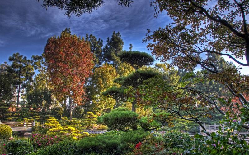 精美秋天花园风景高清电脑壁纸