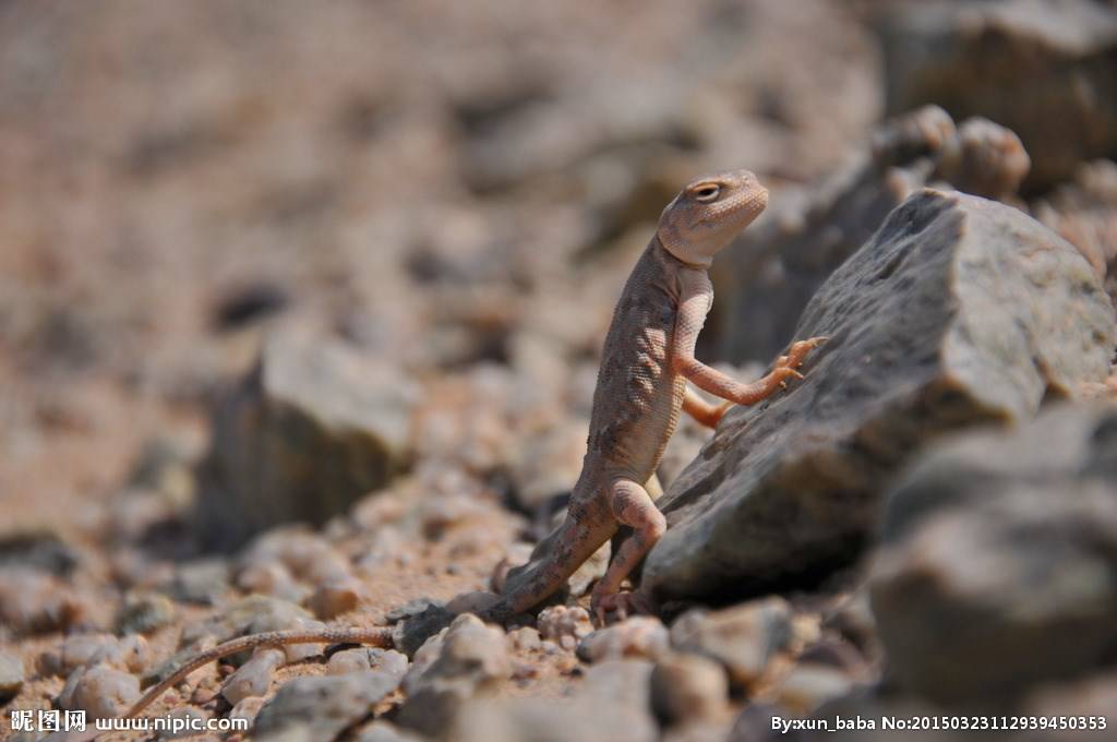 唯美高清戈壁风景图片